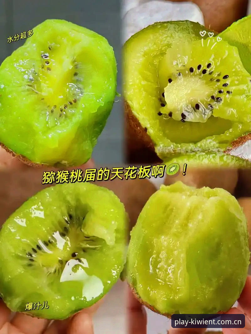 奇异果娱乐乐趣时光使用技巧：5个让体验升级的创新方法